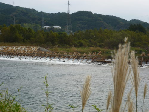 水郷のべおか「鮎やな」